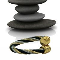 Dick Wicks Magnetic Ring